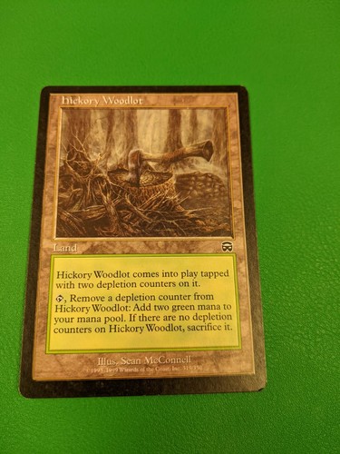 Hickory woodlot mercadian - hickory,