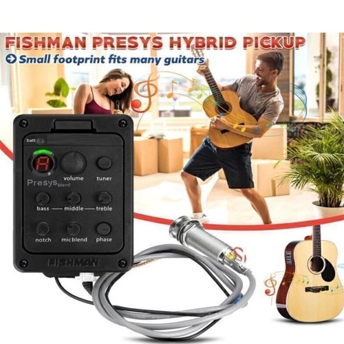 Fishman band 301 tuner - eq,