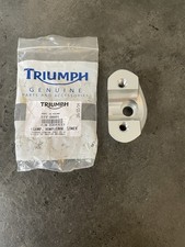 Genuine Triumph Street Triple