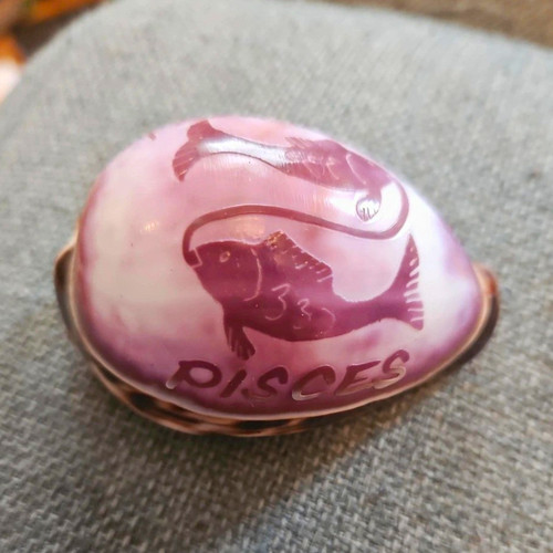 Pisces polished natural - pisces,