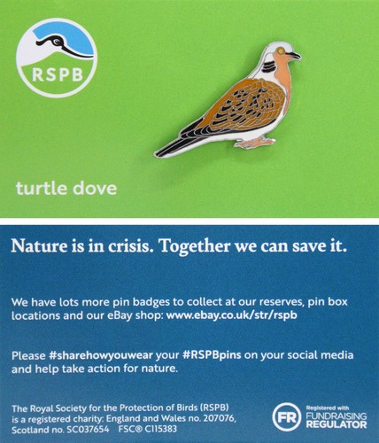 Rspb pin badge - badge, niic