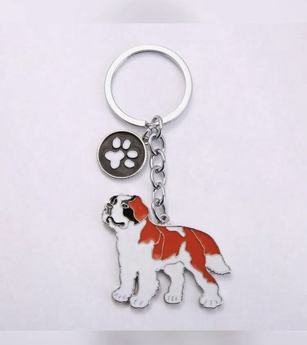Bernard saint dog - bernard,