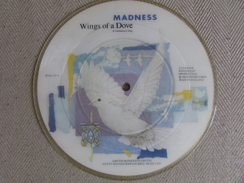 Madness wings dove - dove, /