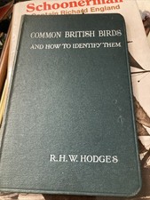 Common British Birds How To