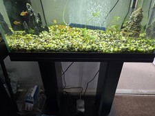 60LTR Fish Aquarium Tank with LED Lights, White Blue, Includes Stand Pump