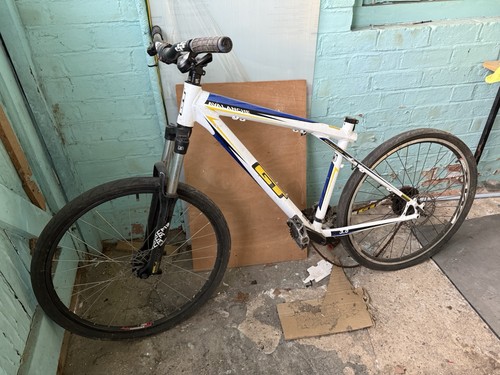 Avalanche mountain bike - 3.0,
