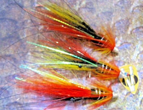Fly 1 inch - v, &