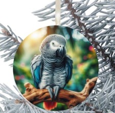 African Grey Parrot Hanging