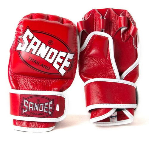 Adult sandee mma - adult, sparring