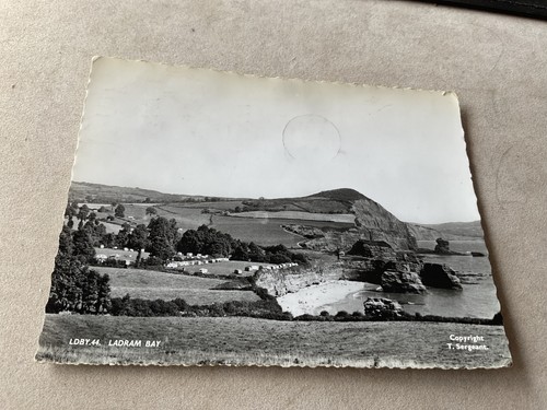 Devon near budleigh ladram - near,