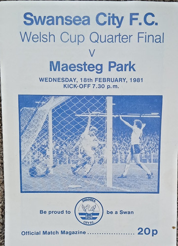 Maesteg park swansea city - maesteg,