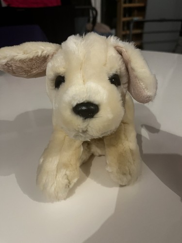 Keel toy golden - , dog