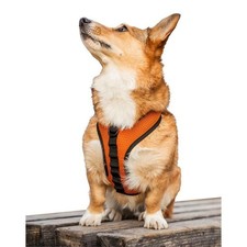 K9 SPORT - DOG SACK HARNESS -