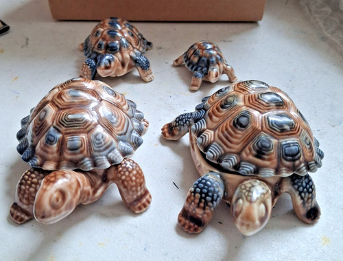 Wade tortoise set large - 4,
