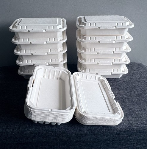250 compostable 9x6 - 9x6, boxes