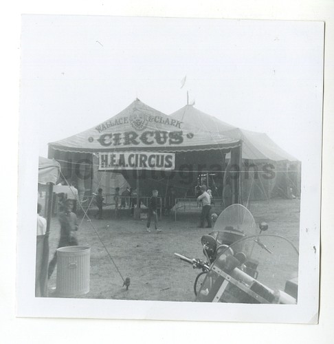 Wallace clark circus vintage - circus,