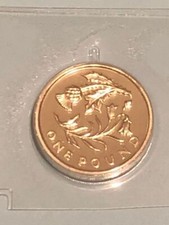 2014 £1 Old Round One Pound