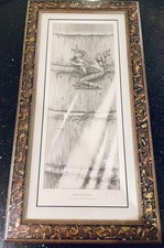 Gary Hodges Sunlight and