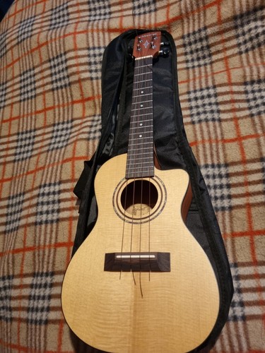 Alvarez concert ukulele - concert,