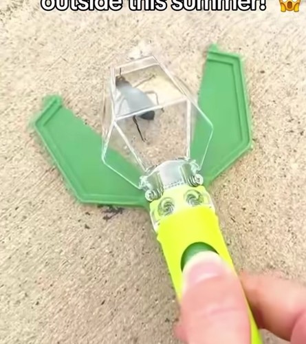 Bug catcher with - bug, ,with