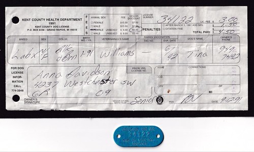 1991 kent county - 1991,