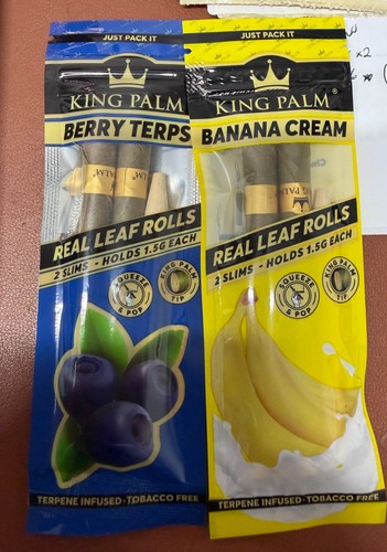 Pack king palm - 2,