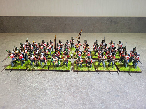 28mm victrix napoleonic - victrix,