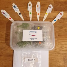 6x Superhot Chilli Plug Plants