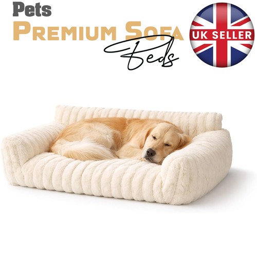 Luxury dog cat - dog, sofa
