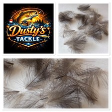 CDC Feathers Natural Mallard