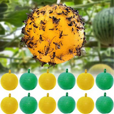 Fruit fly balls - balls,