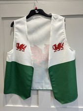 Wales Flag Welsh Dragon