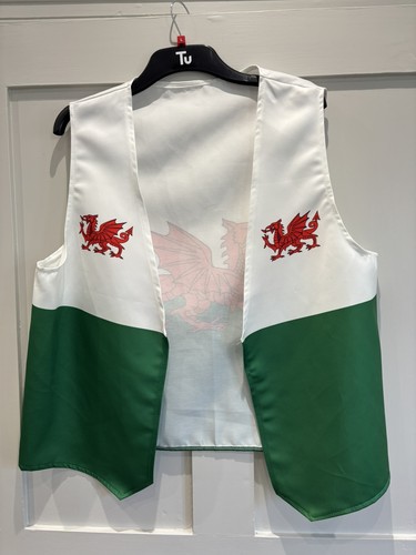 Wales flag welsh dragon - flag,