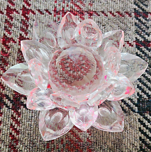Clear glass lotus - glass, tea