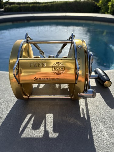 Penn international 80w - 80w,