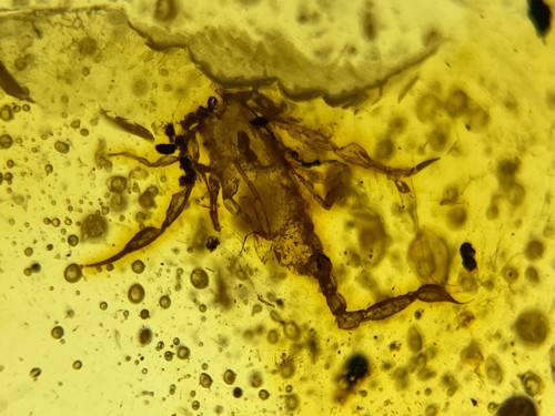 A101 bu3541 rare - a101, scorpion