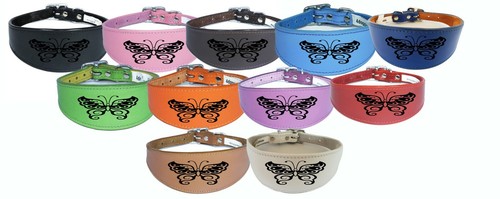 Leather dog collar - dog,