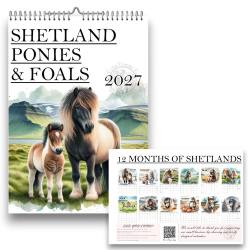 Shetland pony - shetland,