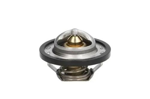 Thermostat without housing
