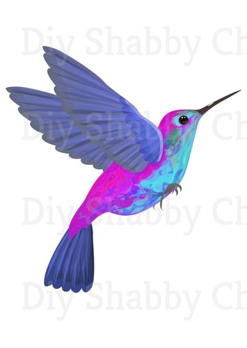 Waterslide decal image - decal,