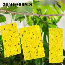 Yellow Sticky Fly Trap Insect