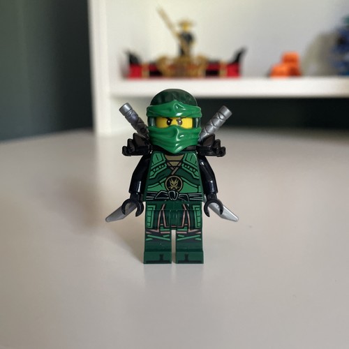 Lloyd lego - lloyd,