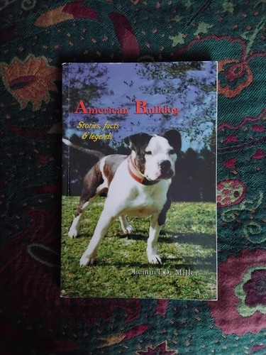 American bulldog stories - american,