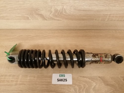 Kawasaki er5 1997 - er5, 1997-02