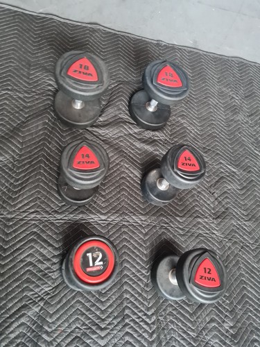 Pairs dumbells 12kg 14kg - 3x,