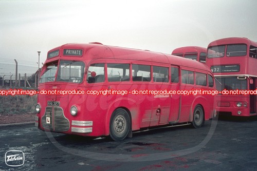Bus photo midland red nbc - bus,