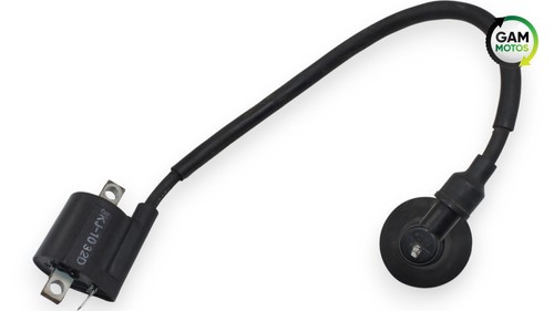 Aprilia rally ignition coil - aprilia,