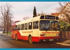 Large 8"x12" Photo -