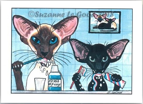 New large siamese oriental - new, &