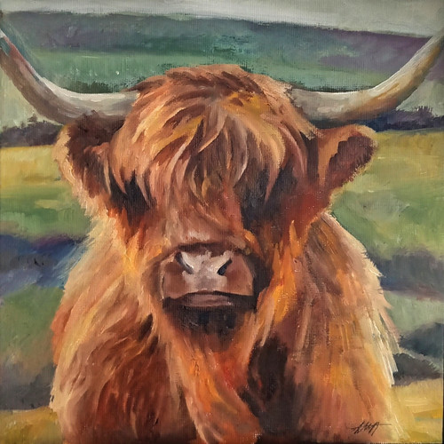 Highland cow original fine - highland,